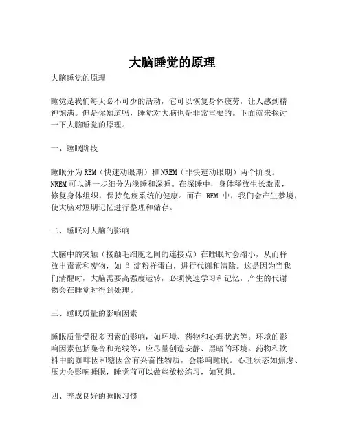 大脑睡觉的原理