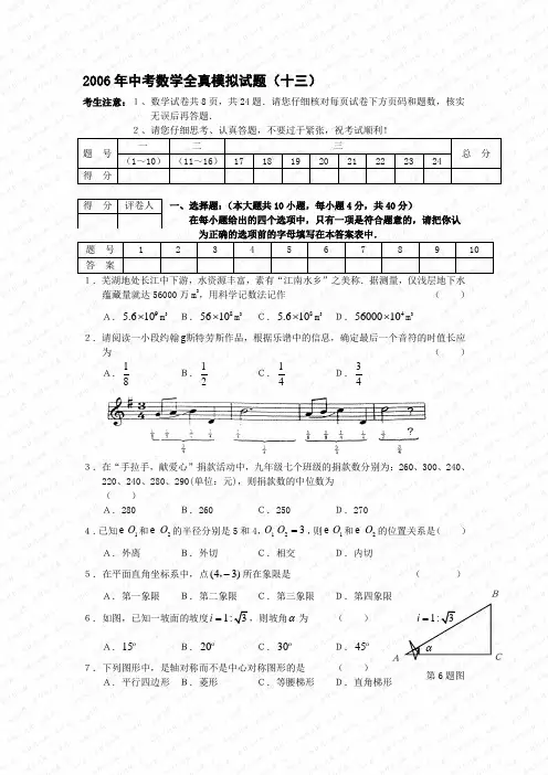 2006年中考数学全真模拟试题(十三)