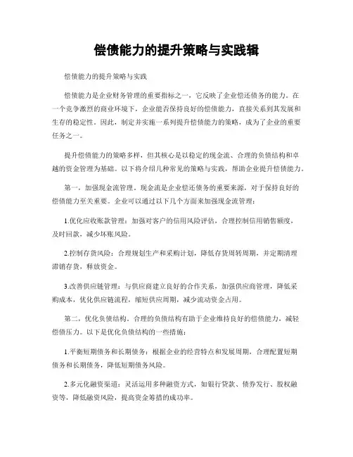 偿债能力的提升策略与实践辑