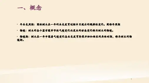 园林树木年生长周期与园林养护演示课件