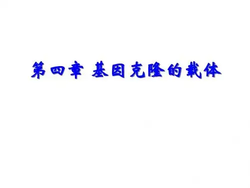 4第四章 基因克隆的载体-1质粒