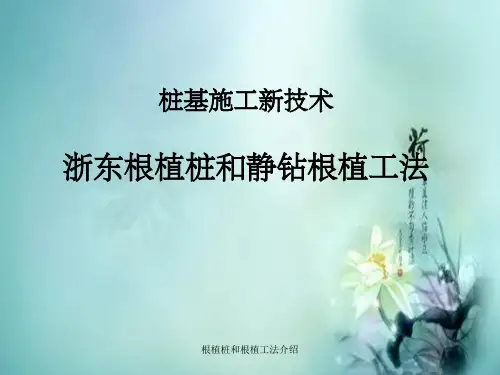 根植桩和根植工法介绍