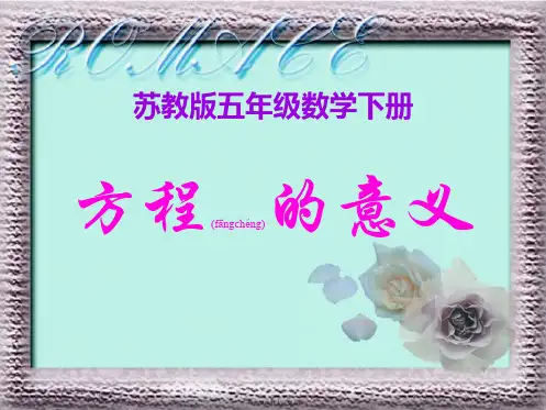 五年级数学下册 方程的意义 3课件