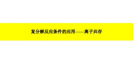 中考专题复习 复分解反应条件的应用—离子共存课件