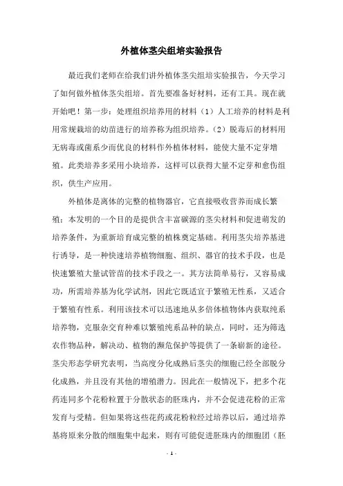外植体茎尖组培实验报告