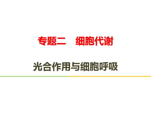 2022届高三二轮复习——光合作用与细胞呼吸
