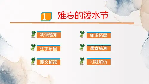 《难忘的泼水节》PPT优质课件