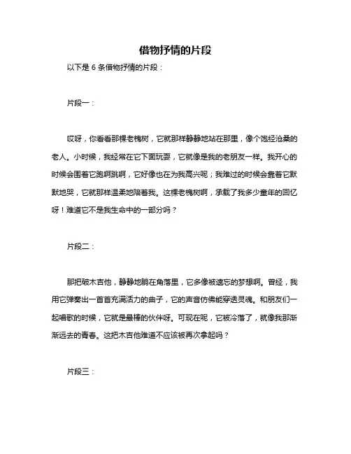 借物抒情的片段