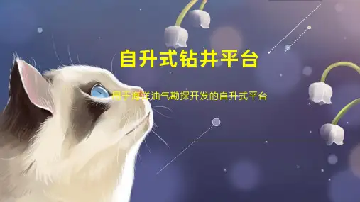 自升式钻井平台