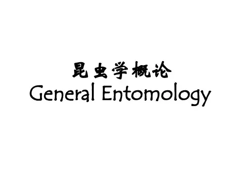 昆虫学概论——昆虫的繁盛及其奥秘