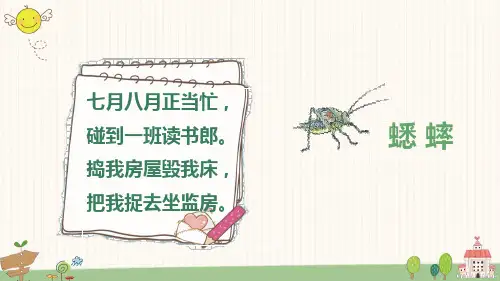 部编版语文四年级上册11蟋蟀的住宅课件(共30张PPT)