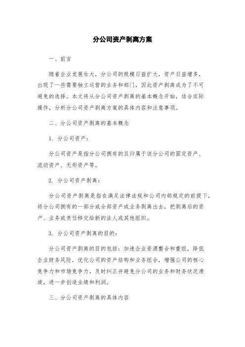 分公司资产剥离方案