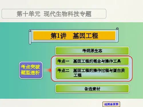 高考生物一轮复习 第十单元 第1讲 基因工程课件