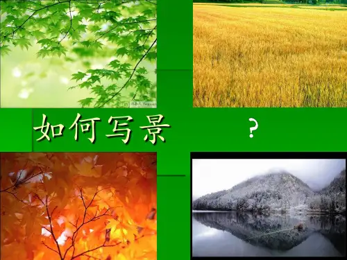 小学生如何写景,小学写景作文写作技巧3套