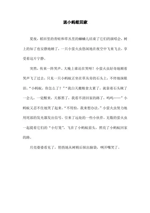 二年级想象作文 送小蚂蚁回家