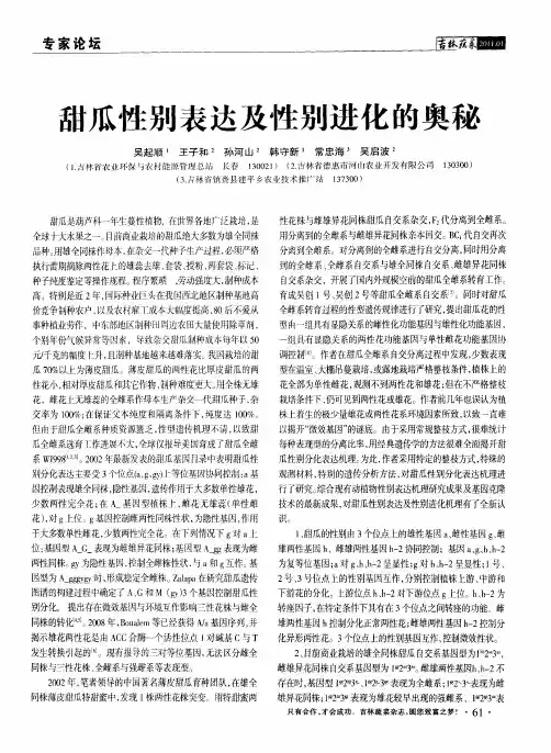 甜瓜性别表达及性别进化的奥秘