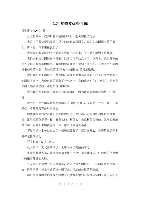 写生的作文优秀4篇