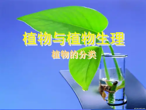 植物与植物生理课件——植物的分类