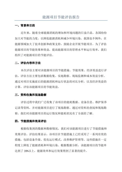 能源项目节能评估报告