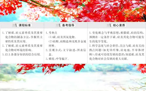 高考化学一轮复习1碳硅及其化合物课件