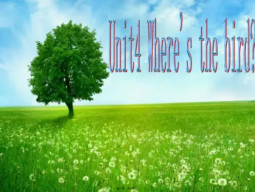 译林版《英语》三年级下册Unit4whereisthebird课件