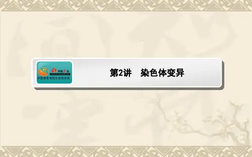 高考生物一轮复习 5.2 染色体变异课件 新人教版必修2