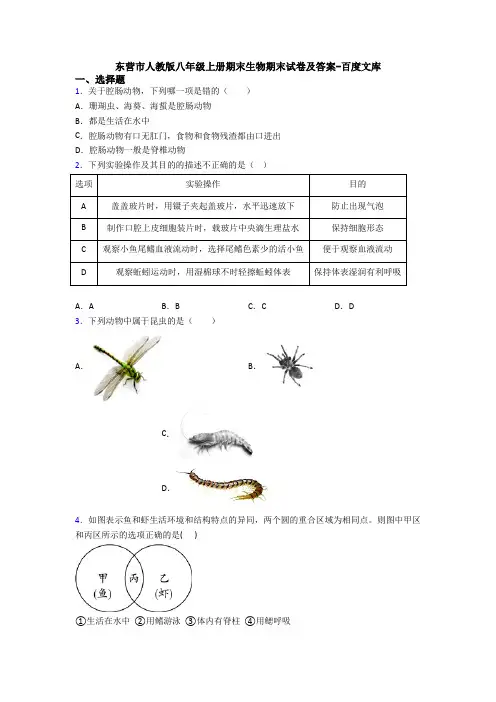 东营市人教版八年级上册期末生物期末试卷及答案-百度文库