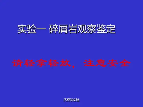 实验一 碎屑岩手标本鉴定描述1)