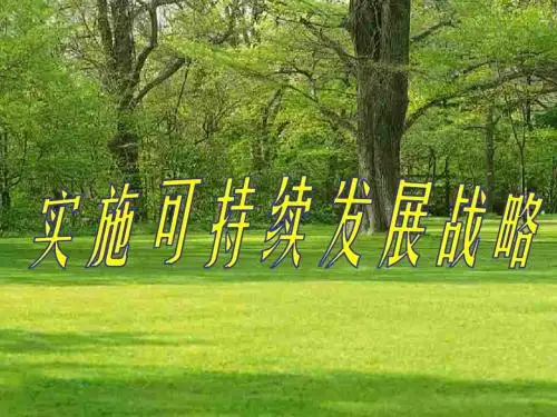 政治课件：人教版九年级全册第四课第四框实施可持续发展战略(共26张PPT)