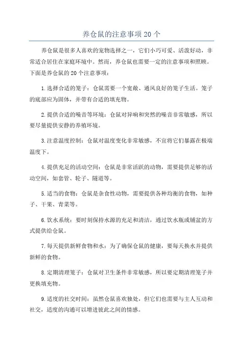 养仓鼠的注意事项20个
