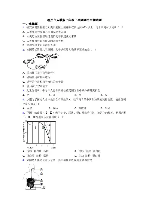 柳州市人教版七年级下学期期中生物试题