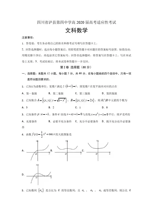 四川省泸县第四中学2020届高三下学期高考适应性考试数学（文）试题 