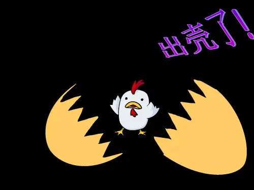 一年级下册第三课《出壳了》课件