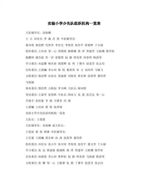 实验小学少先队组织机构一览表