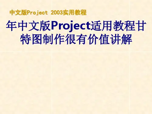 年中文版Project适用教程甘特图制作很有价值讲解讲义