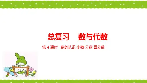六年级下册数学课件--总复习 数与代数 1数的认识 课时4 北师大版(2014秋) (共30张PPT)