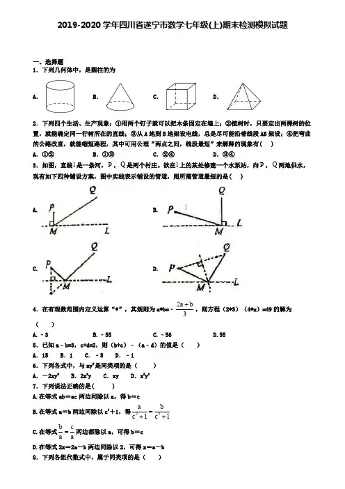2019-2020学年四川省遂宁市数学七年级(上)期末检测模拟试题