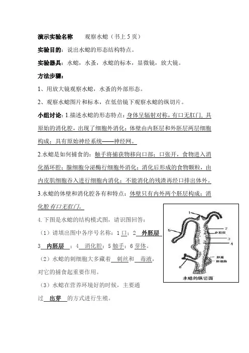 演示实验名称    观察水螅
