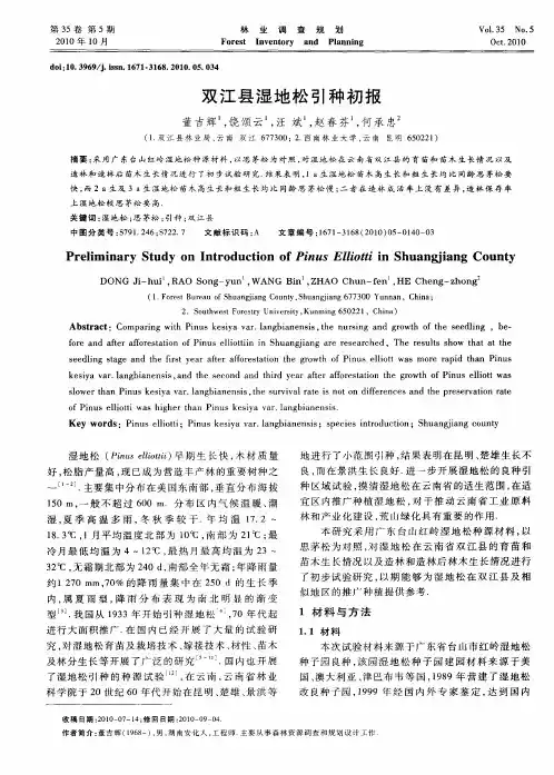 双江县湿地松引种初报