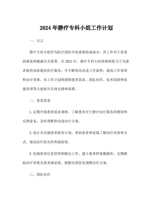 2024年静疗专科小组工作计划