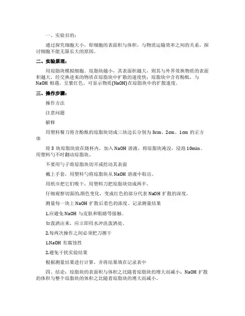 细胞大小与物质运输的关系