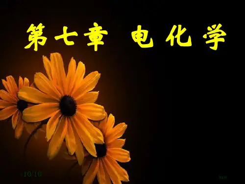 电化学习题专业知识讲座公开课一等奖优质课大赛微课获奖课件