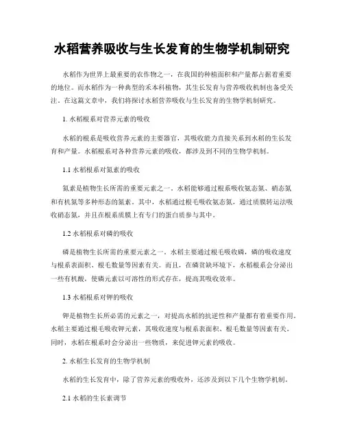 水稻营养吸收与生长发育的生物学机制研究