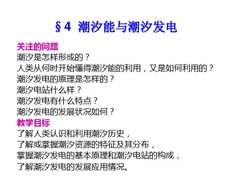 新能源发电技术(潮汐能)