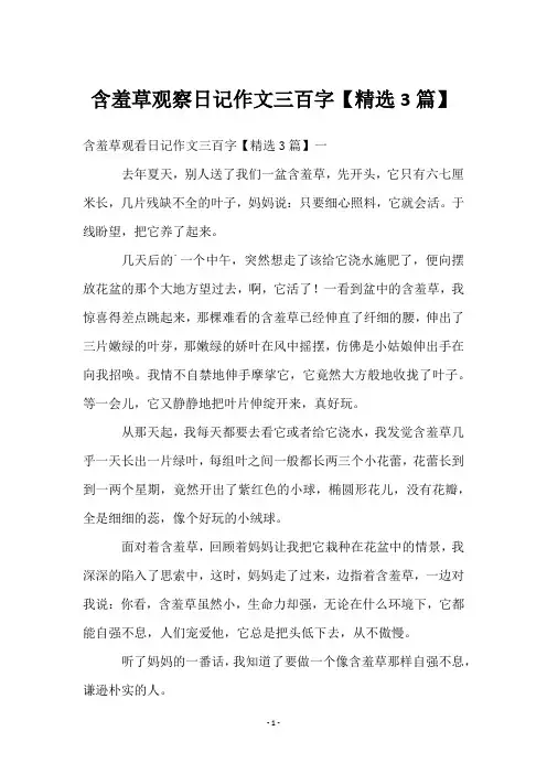 含羞草观察日记作文三百字【3篇】