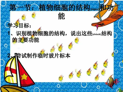 七年级生物上册 第三章 第一节 植物细胞结构和功能课件