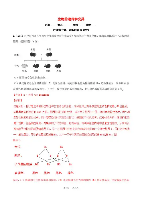 中考生物大题狂做系列 专题11 生物的遗传和变异(含解析)
