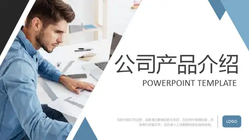 公司产品介绍PPT