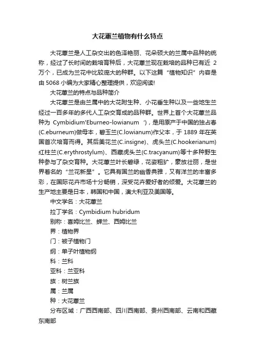 大花蕙兰植物有什么特点