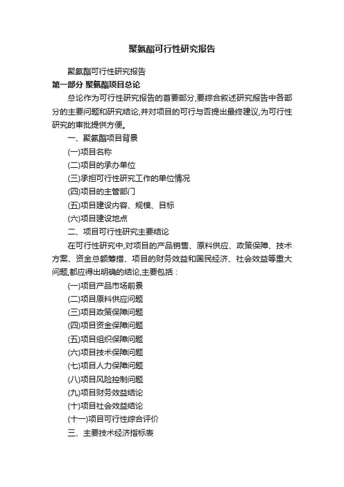 聚氨酯可行性研究报告